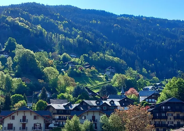 Joli A St Gervais Les Bains 公寓 *
