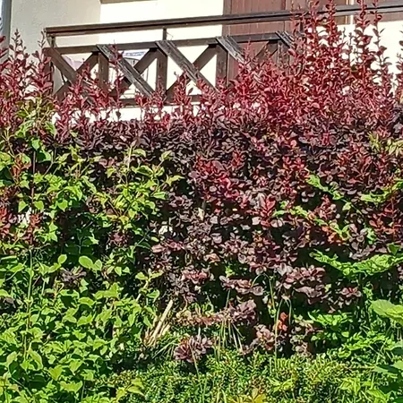 Joli A St Gervais Les Bains Apartmán